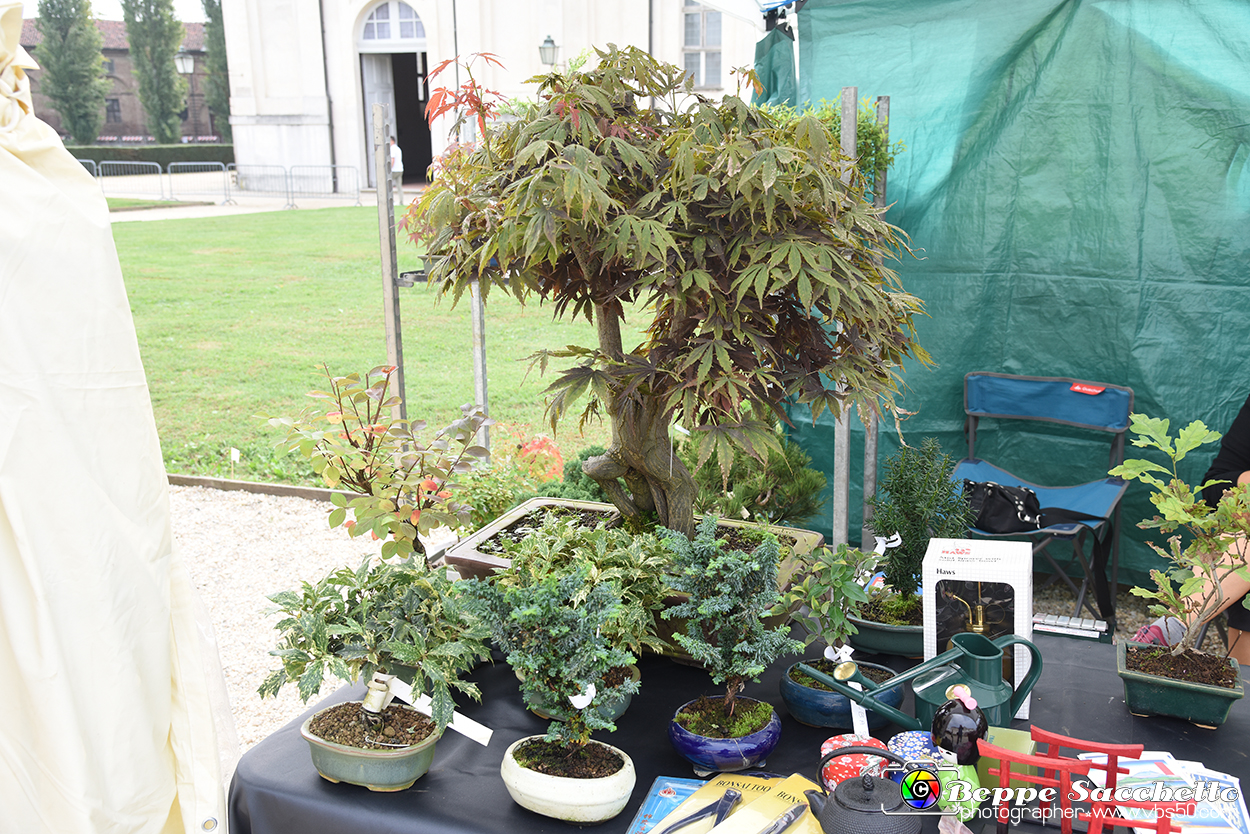 VBS_3478 - Floreal 2023 - Vivere con le piante.jpg